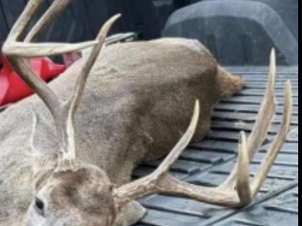 TBD BRADLEY 351, Johnsville, AR 71647