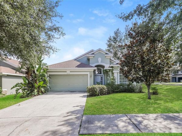 650 CHESNEY DRIVE, VALRICO, FL 33594