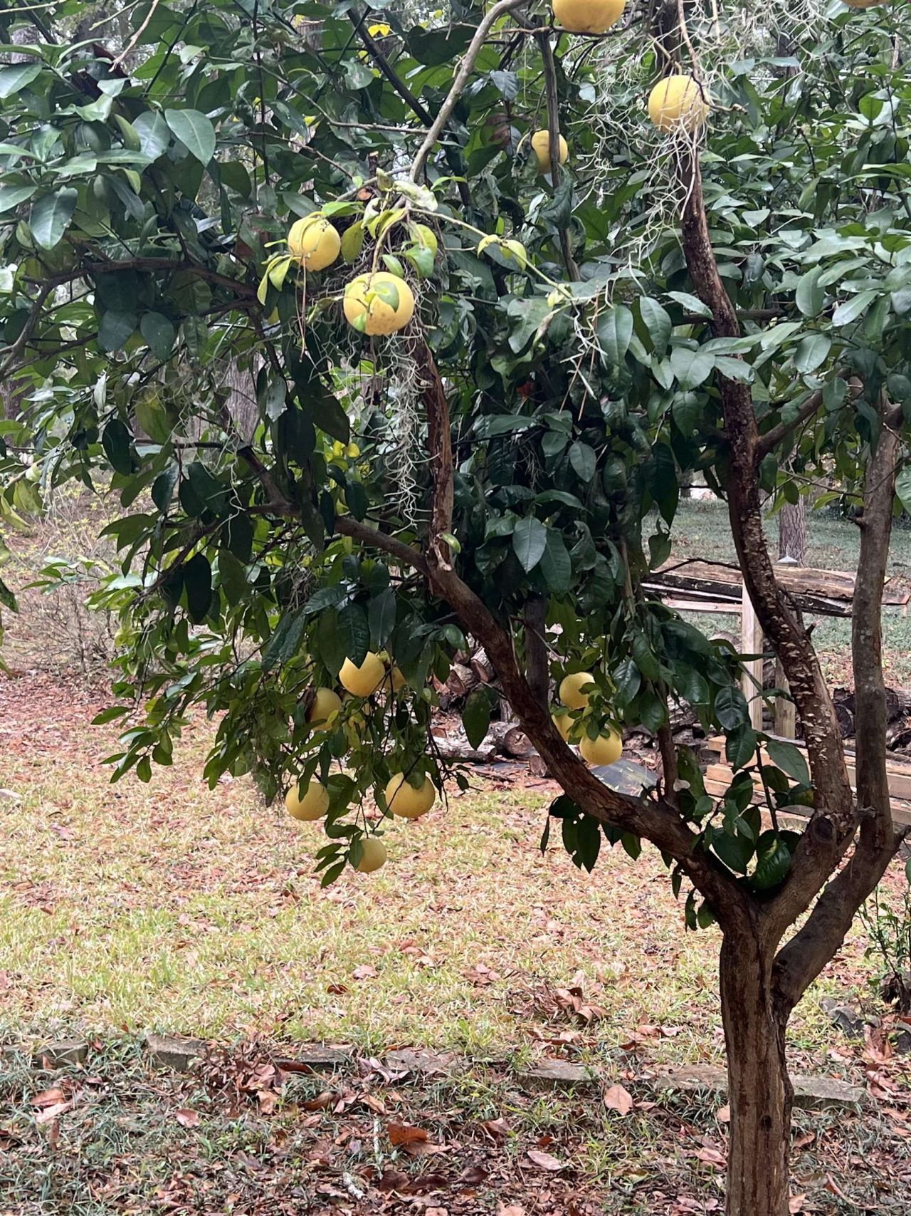 551 Gould Road, Quincy, FL 32351 Photo