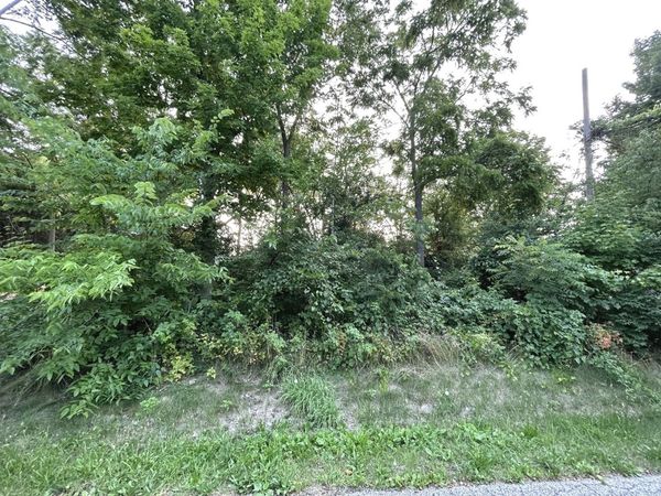 0 Lear Street, Wonder Lake, IL 60097