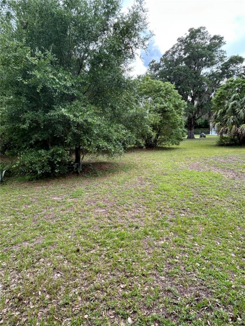 305 Violetwood Road, Deland, FL 32720 Photo