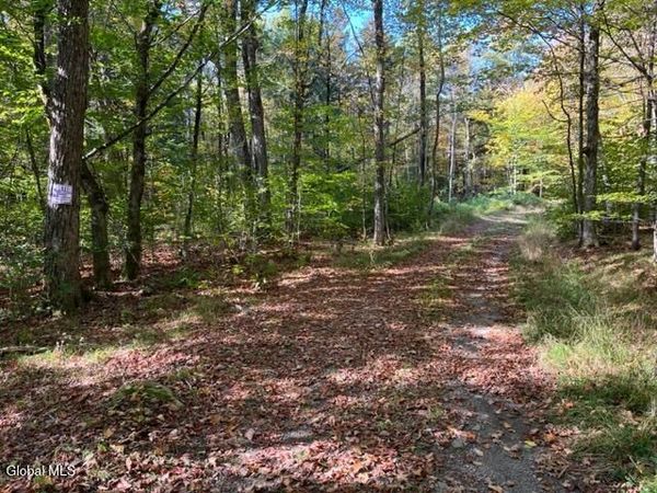 123 Wildwood Lane, Middleburgh, NY 12122