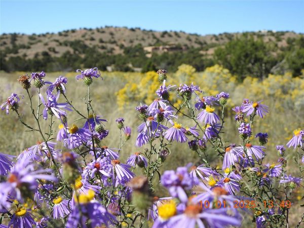 133 Paseo De La Tierra, Santa Fe, NM 87506