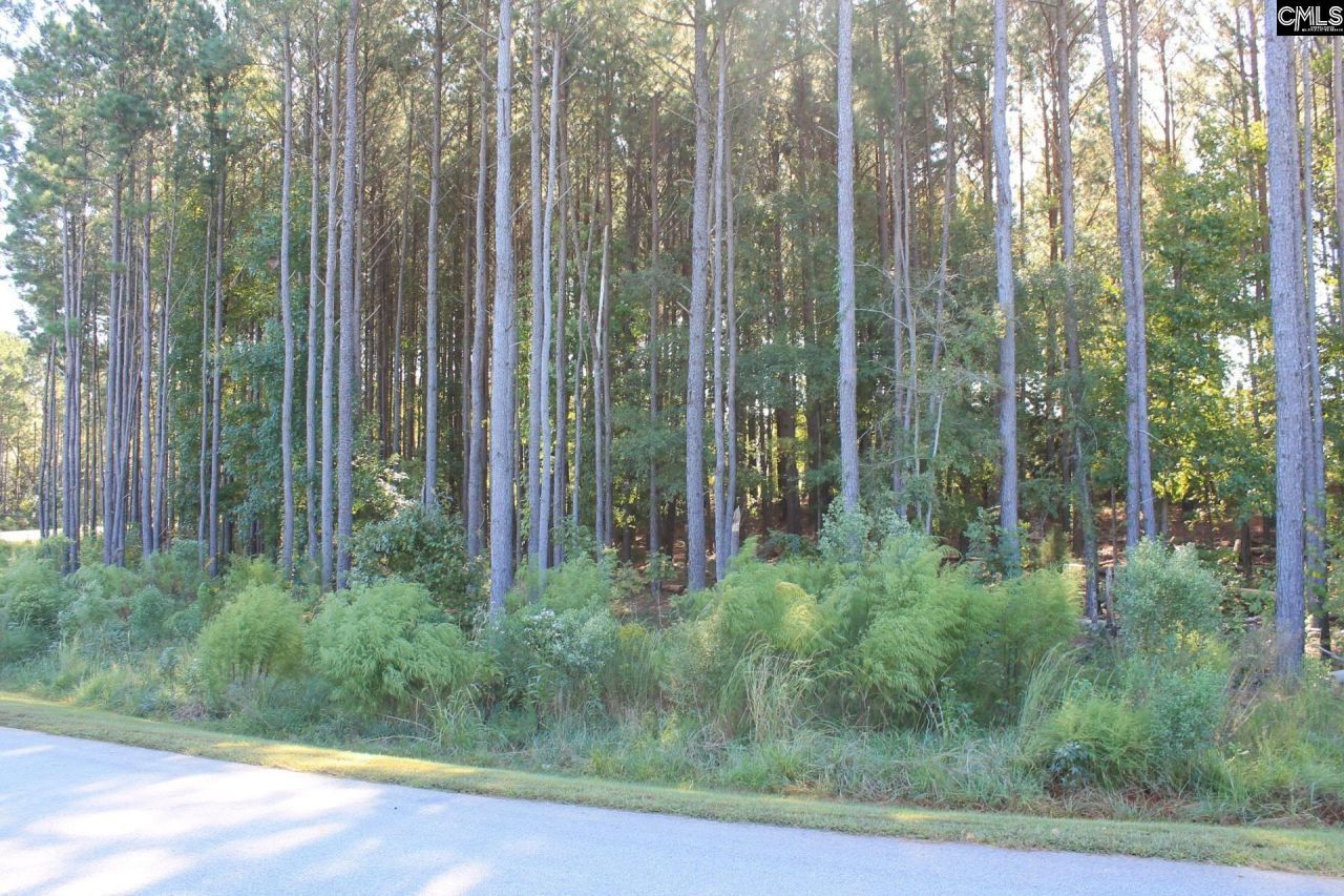 Clouds Creek Circle Photo 4