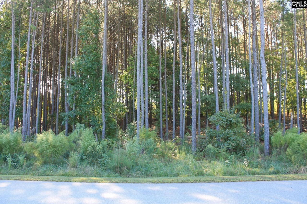 Clouds Creek Circle Photo 5