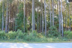 Clouds Creek Circle photo 4