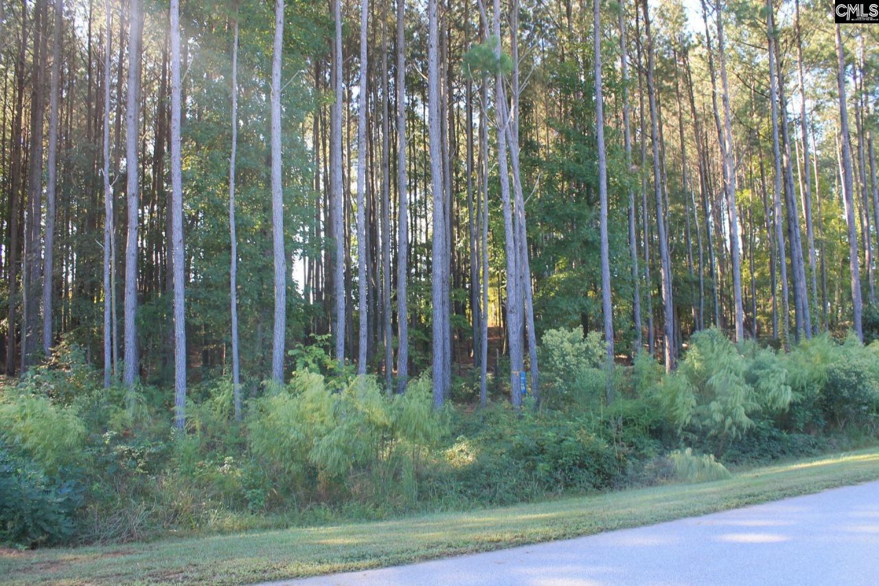 Clouds Creek Circle Photo 6