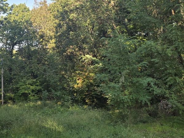 24446 E Ant Hill Circle, Afton, OK 74331