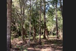 188 Vinson Road photo 4