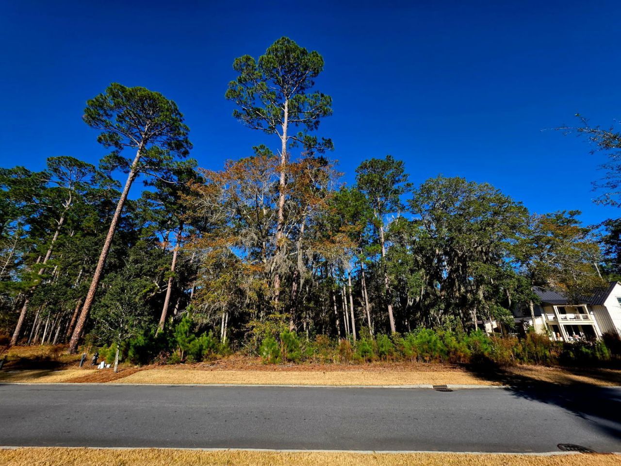 188 Vinson Road Photo 5