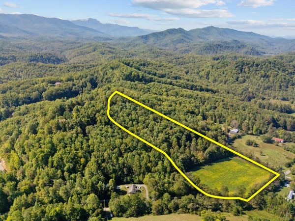 0 Jones Cove Rd , Cosby, TN 37722