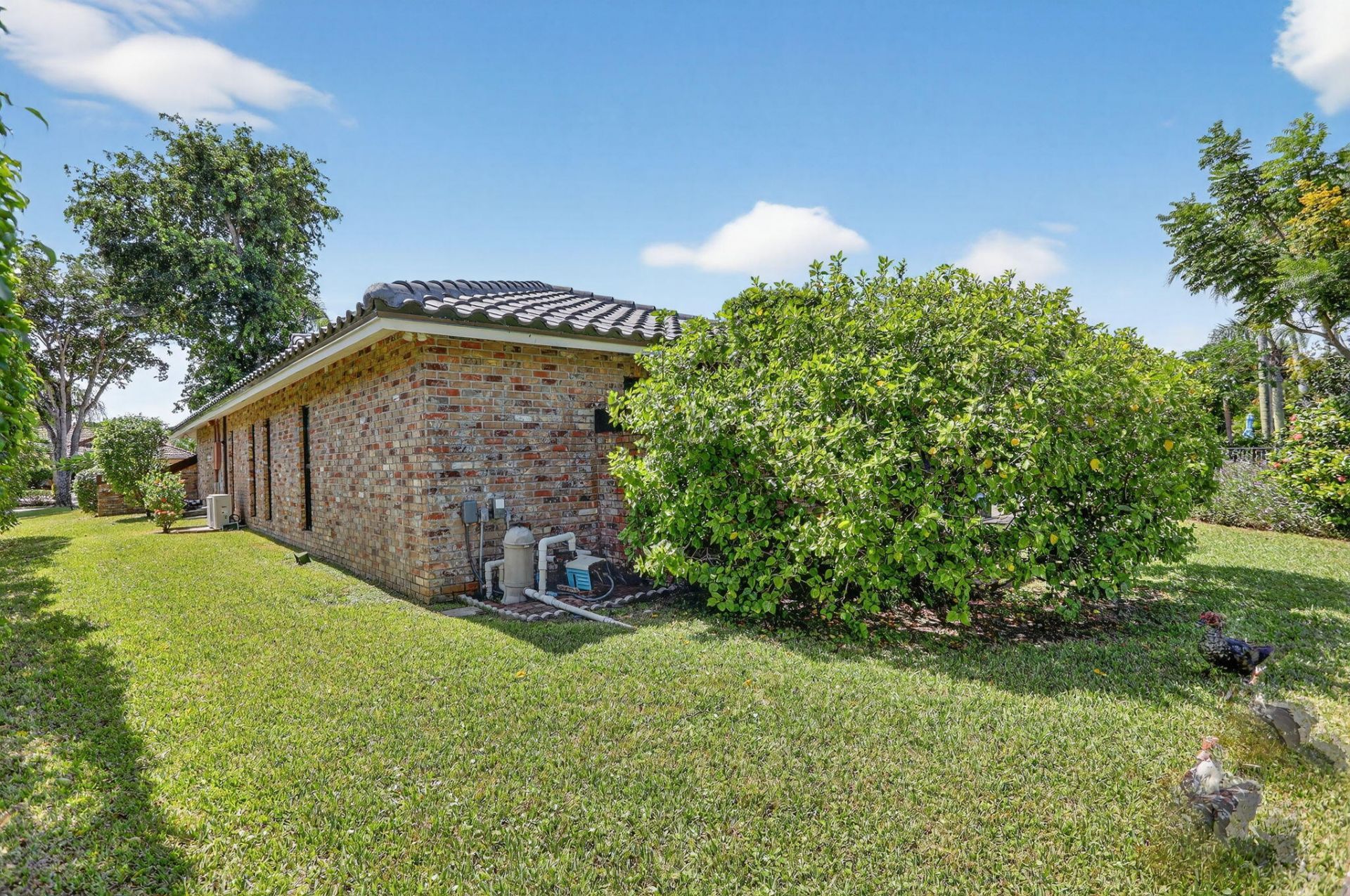 11351 NW 11th Court, Coral Springs, FL 33071 Photo