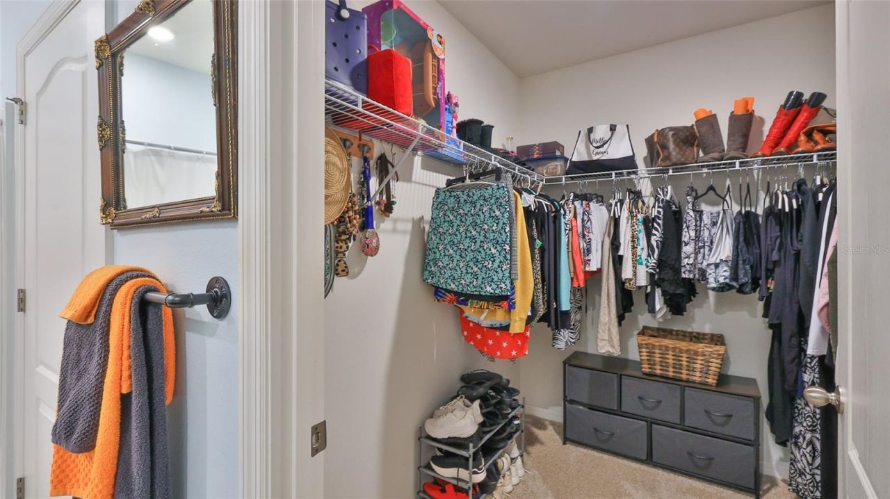 236 Caryota Court, New Smyrna Beach, FL 32168 Photo