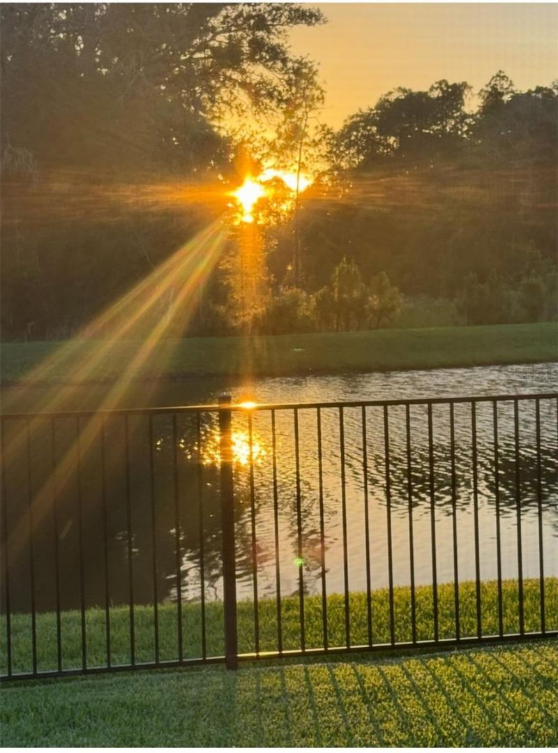 236 Caryota Court, New Smyrna Beach, FL 32168 Photo