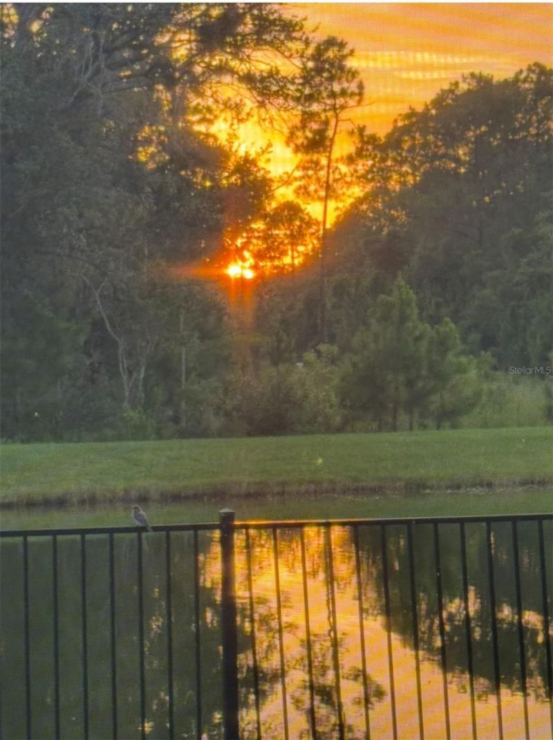 236 Caryota Court, New Smyrna Beach, FL 32168 Photo