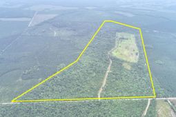 909 Getaway Lane photo 4