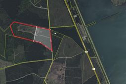 909 Getaway Lane photo 4