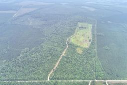 909 Getaway Lane photo 4