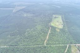 909 Getaway Lane photo 4