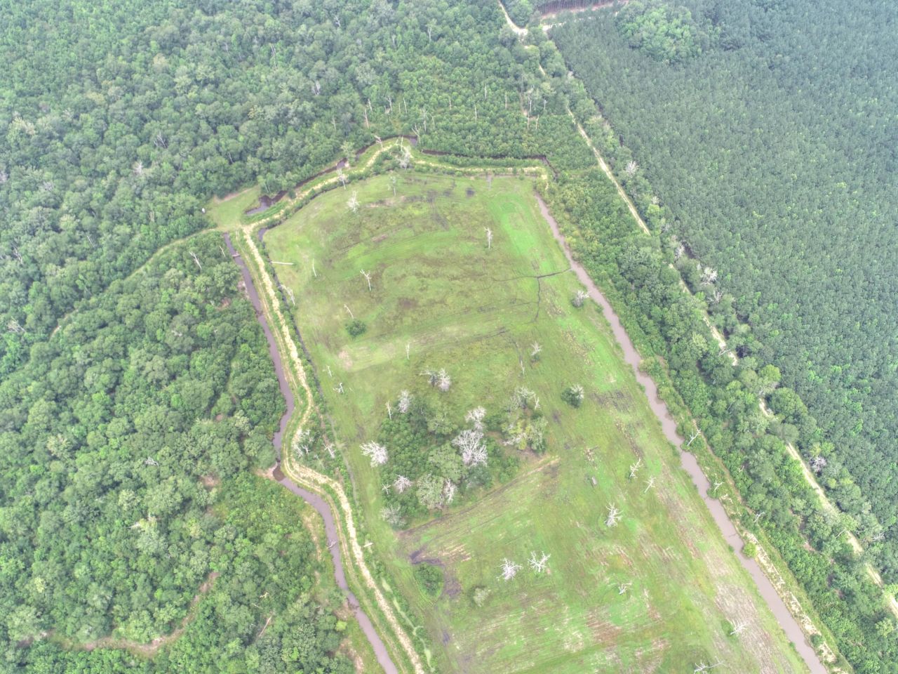 909 Getaway Lane Photo 9