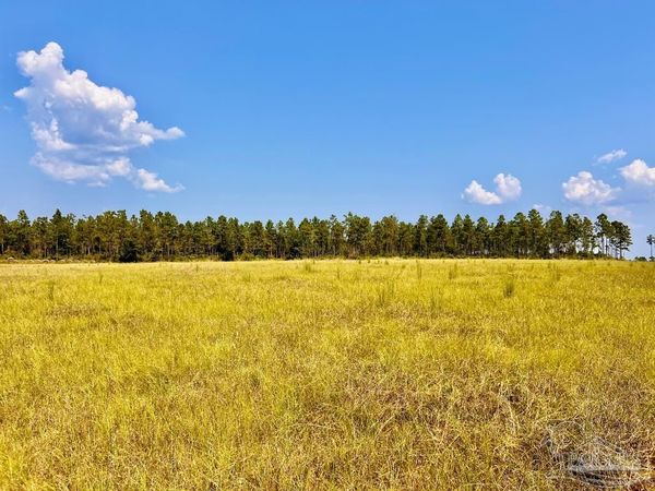 Lot 26 Morgans Branch, Molino, FL 32577