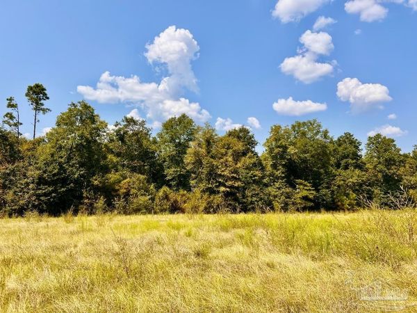Lot 27 Morgans Branch, Molino, FL 32577