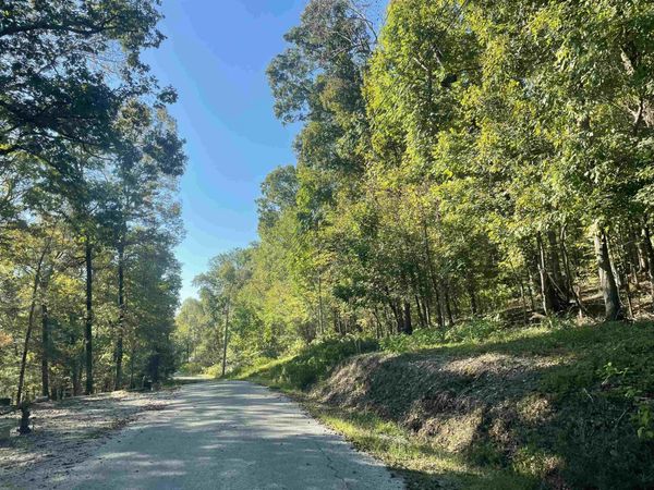 LOT 50 CROW LN, Bath Springs, TN 38311