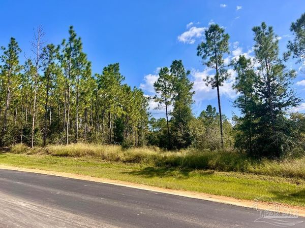 Lot 30 Morgans Branch, Molino, FL 32577