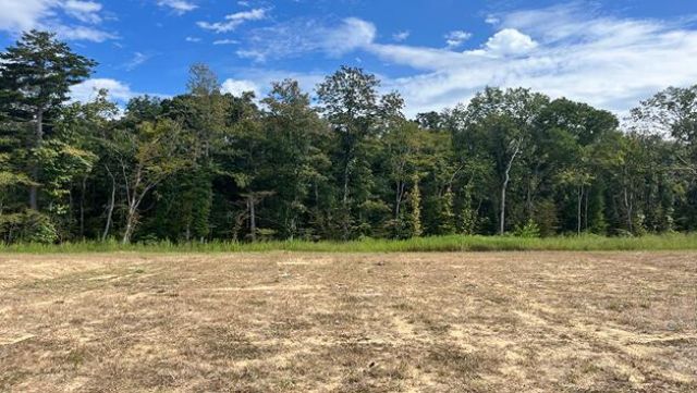 454 Tulip Poplar Drive Photo 1