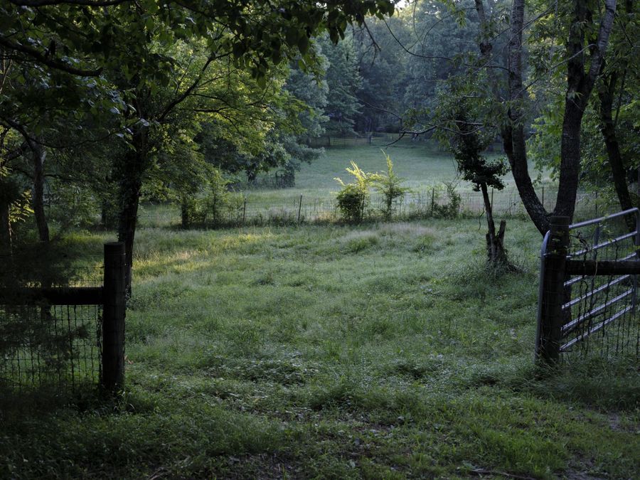 Property Image 50