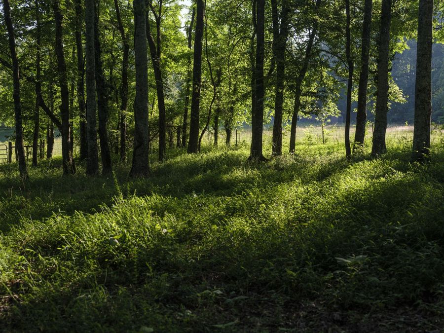 Property Image 65