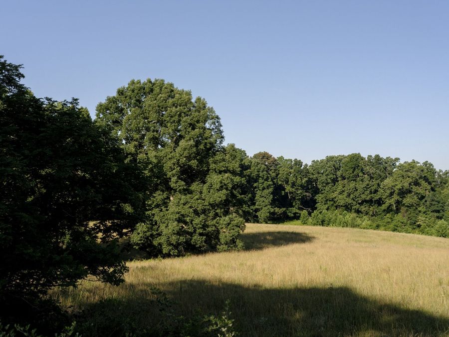 Property Image 66