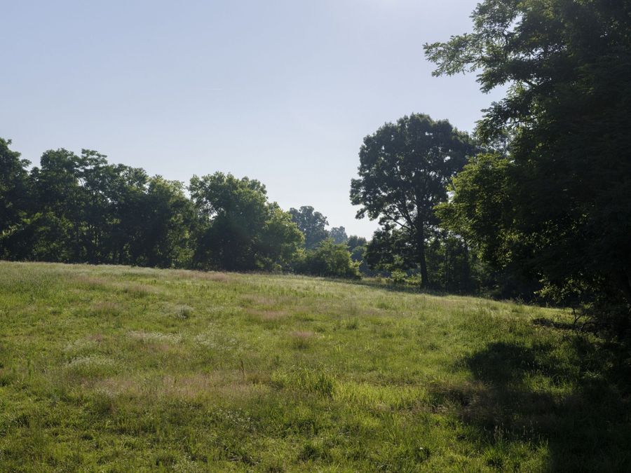 Property Image 67