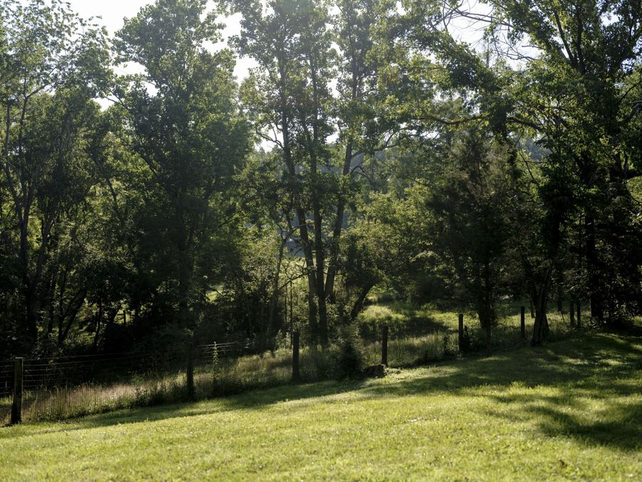 Property Image 68