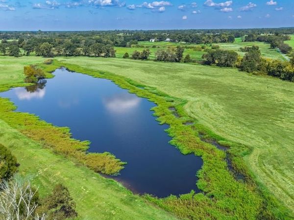 31 Acres Texas Highway 19 S, Brashear, TX 75420