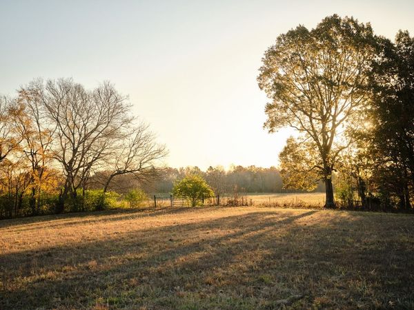 7725 Caney Fork Rd, Fairview, TN 37062