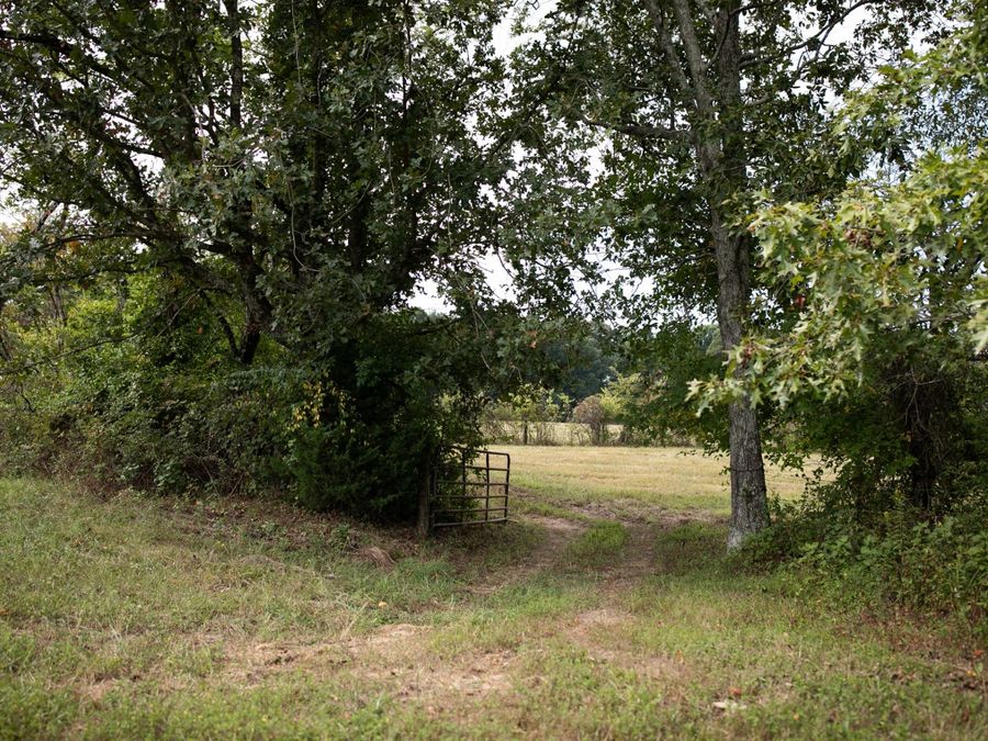 Property Image 33