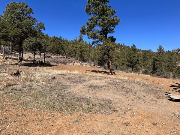 Big Pine Ridge Rd, Weston, CO 81089