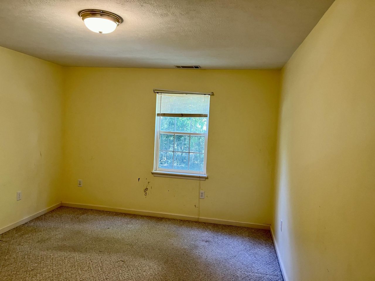 4691 Summit Plantation Road Photo 31