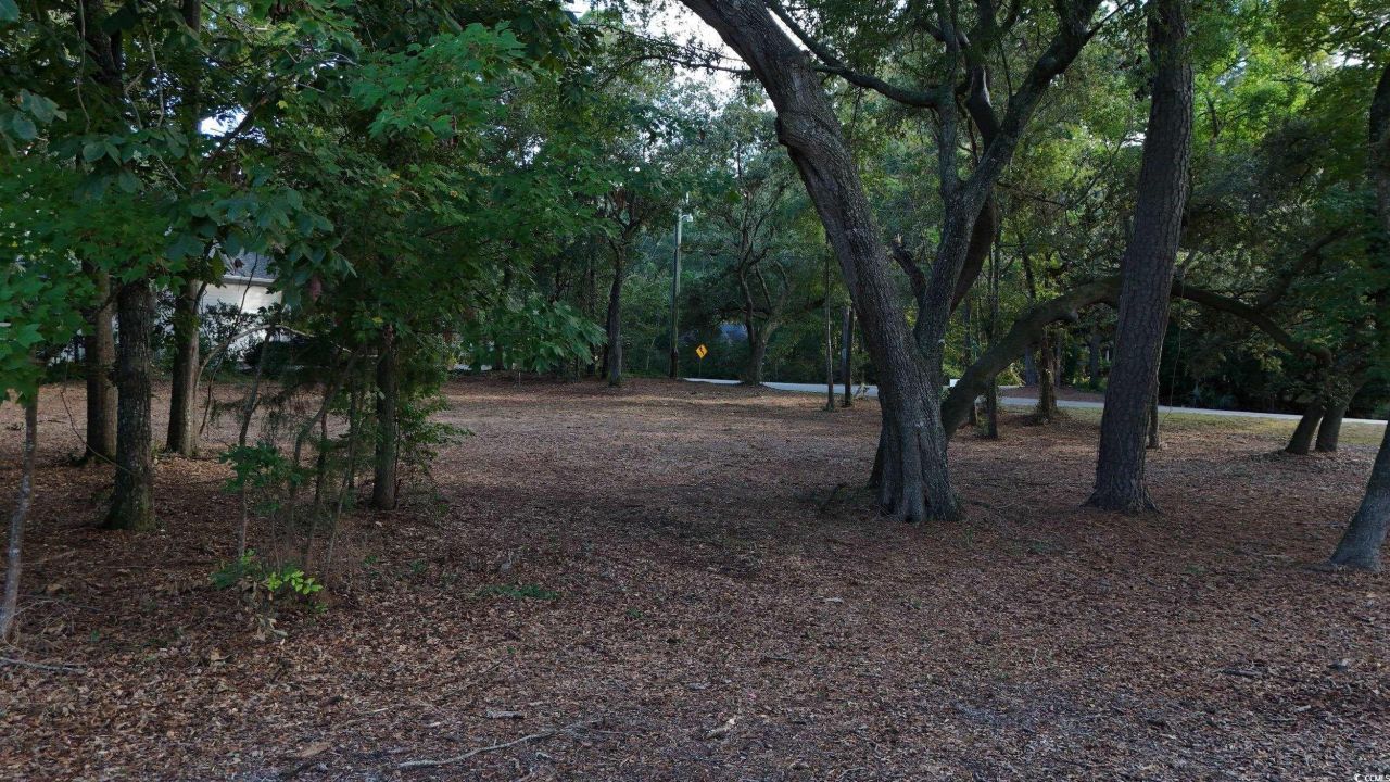 1217 Hawthorn Dr. Photo 13