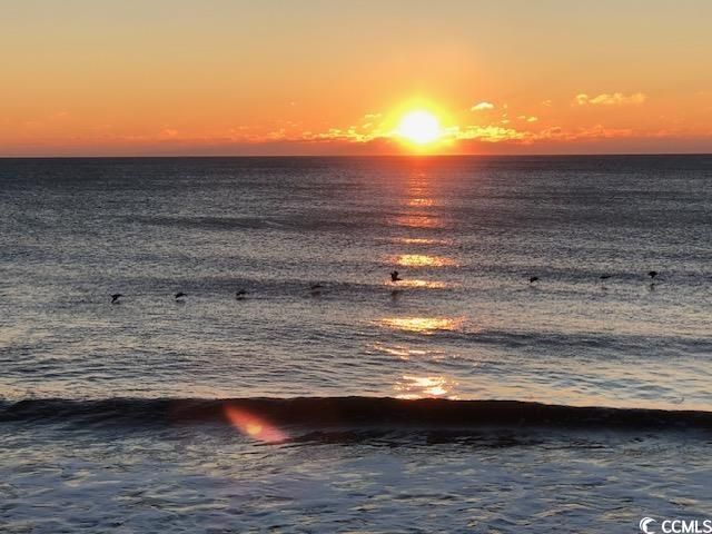 1217 Hawthorn Dr. Photo 23