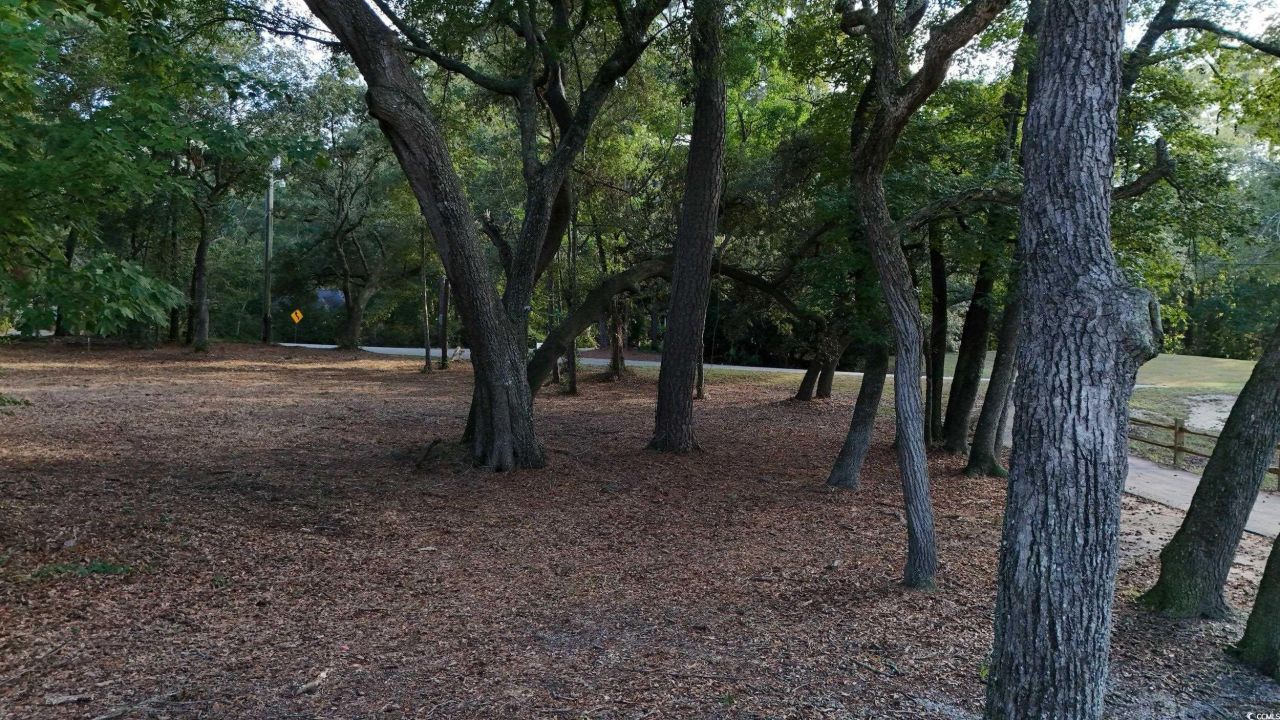 1217 Hawthorn Dr. Photo 24