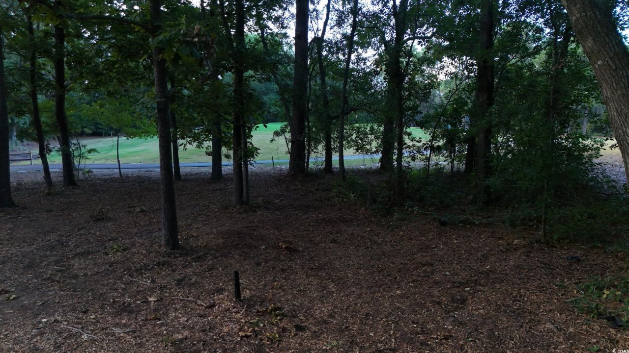 1217 Hawthorn Dr. Photo 26