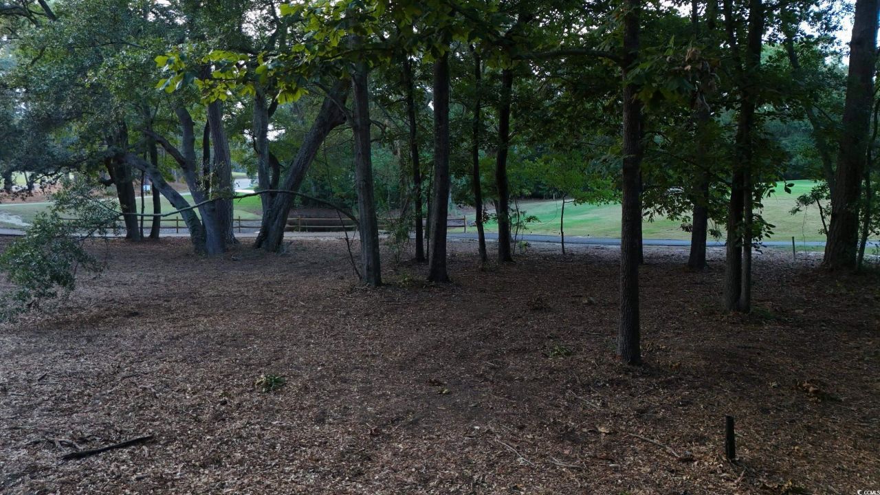 1217 Hawthorn Dr. Photo 30