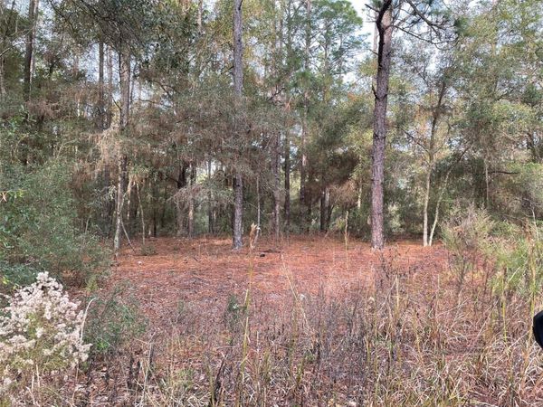 LOT 9 SW 152ND AVENUE, OCALA, FL 34481