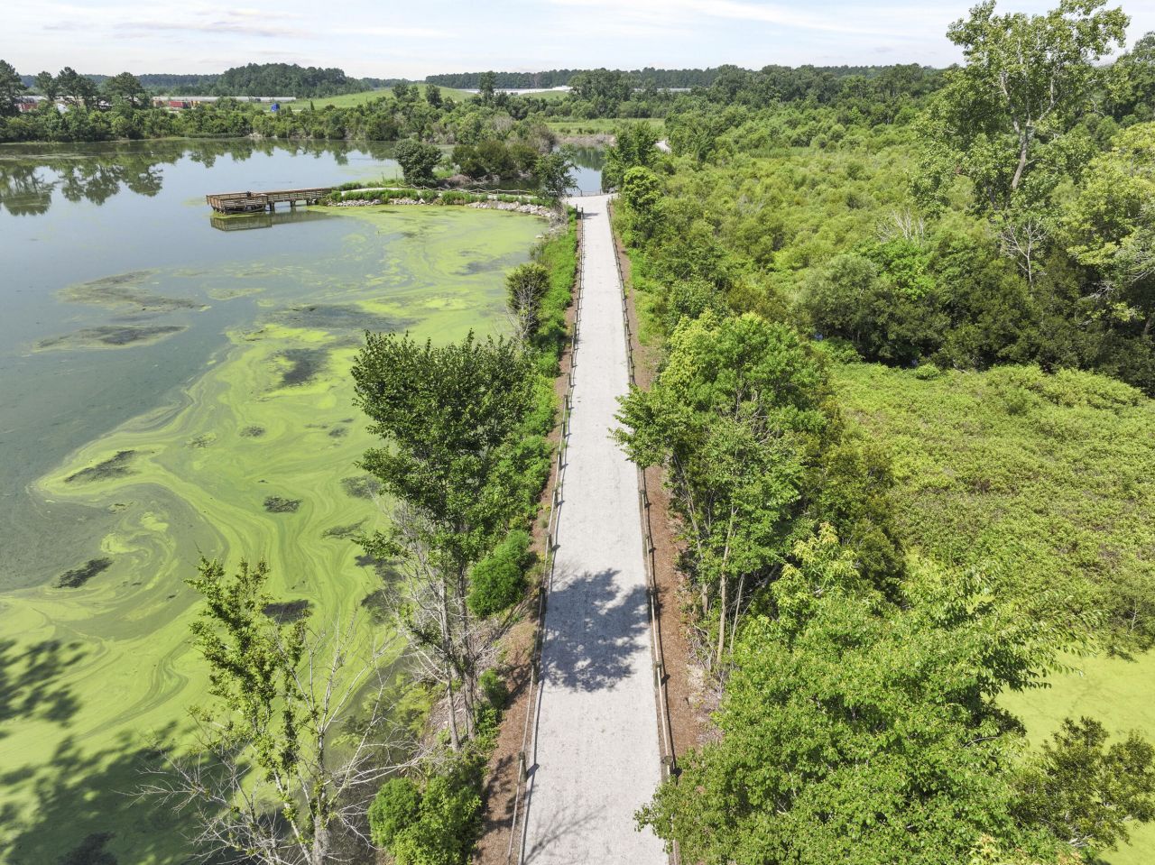 460 Tulip Poplar Drive Photo 42