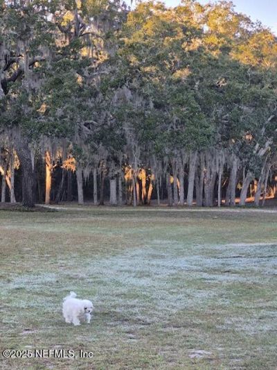 135 Lake Como Drive, Pomona Park, FL 32181 Photo