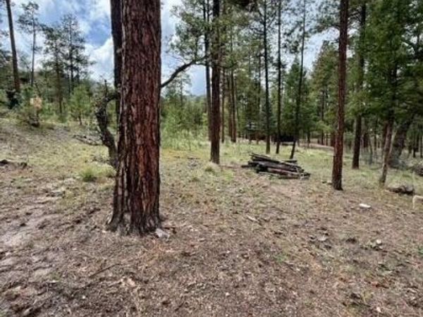 7 Eric Lane, Unit 28, Alpine, AZ 85920