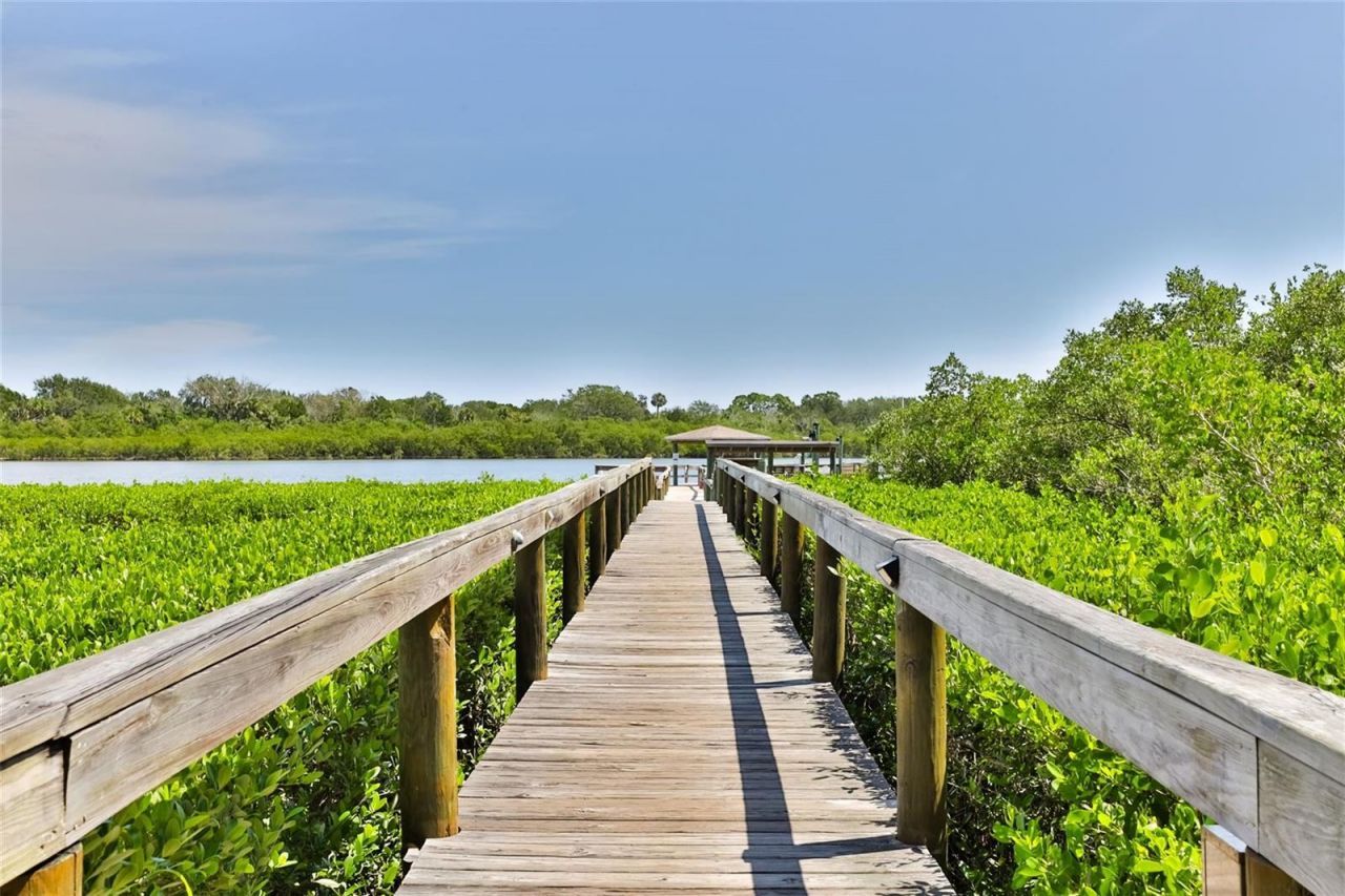 309 Schooner Avenue, Edgewater, FL 32141 Photo