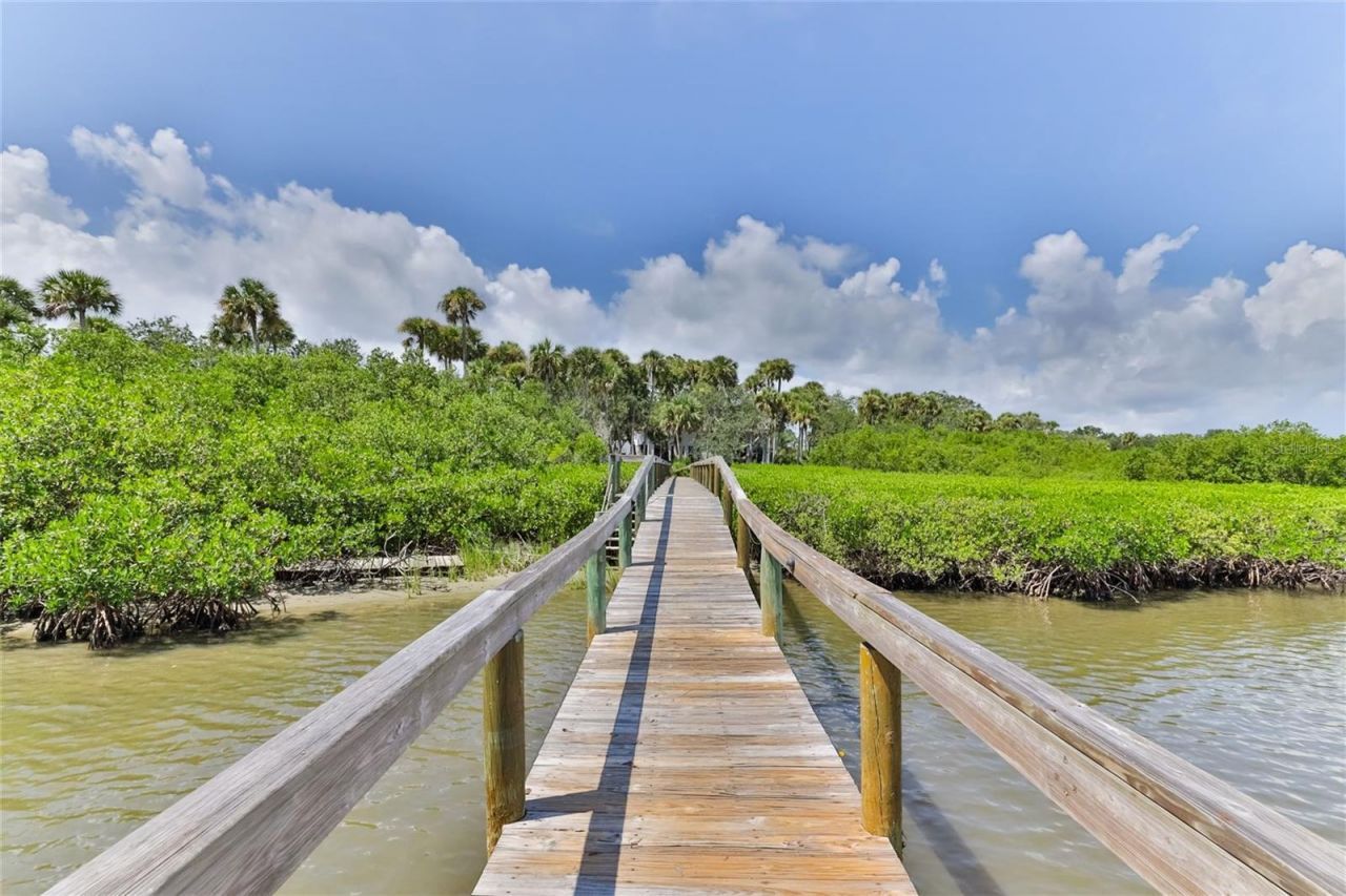 309 Schooner Avenue, Edgewater, FL 32141 Photo